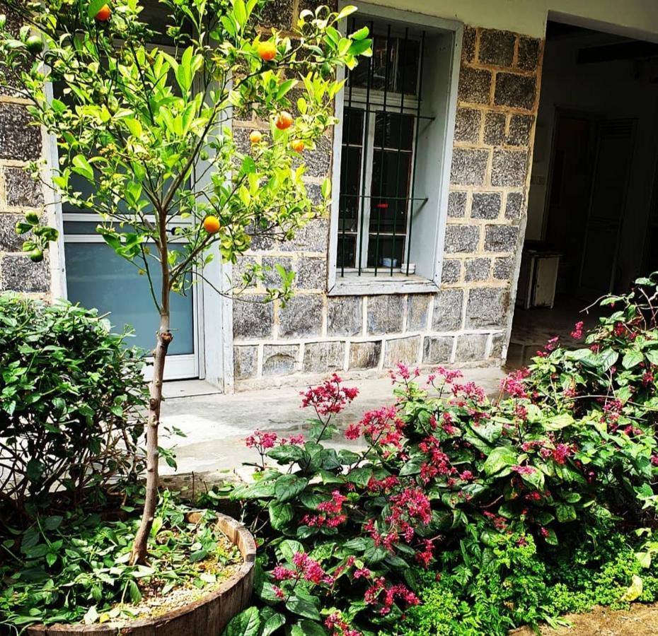 Berenice Winery Hotel Tibériade Extérieur photo