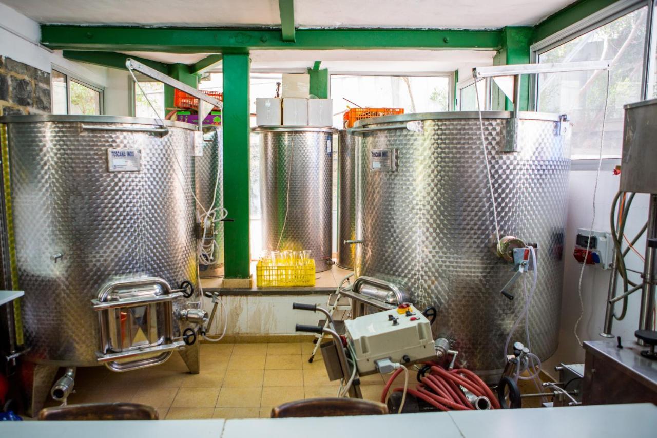 Berenice Winery Hotel Tibériade Extérieur photo